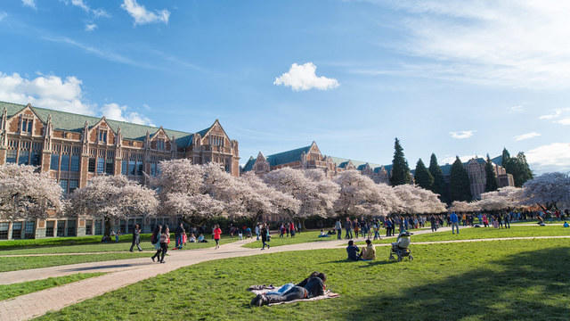 Students on the lawn of the University of Washington campus