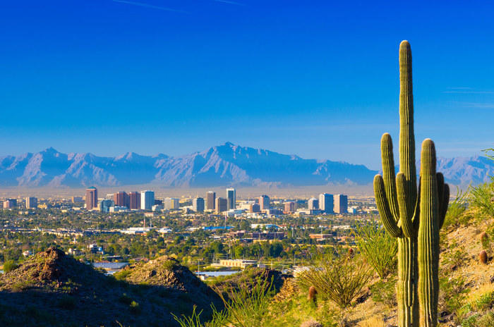 Phoenix skyline with cactus