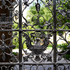 Ivy League Law Schools