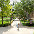 Minnesota University