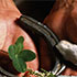 The LSAT and Good Luck